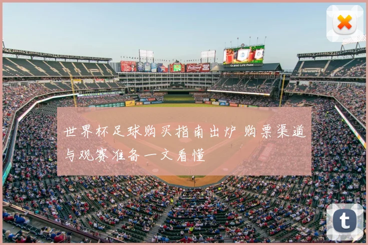 世界杯足球购买指南出炉 购票渠道与观赛准备一文看懂