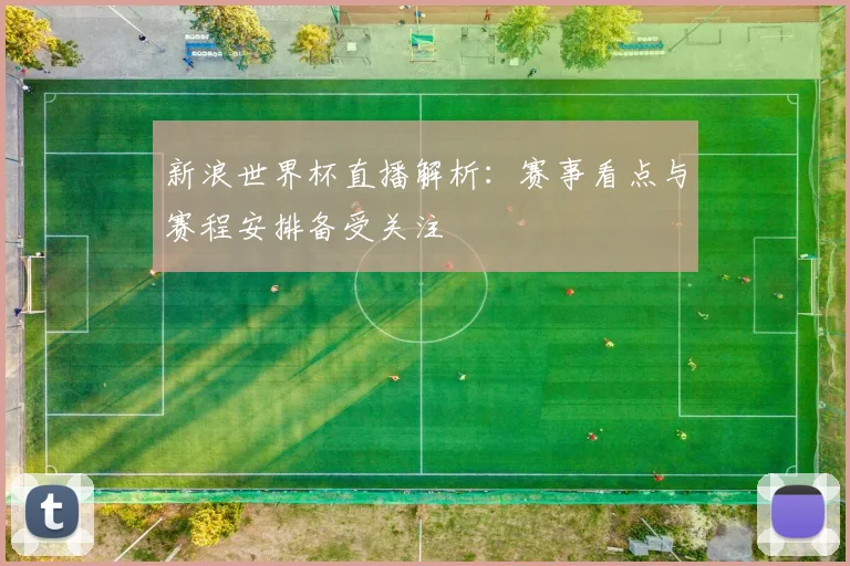 新浪世界杯直播解析：赛事看点与赛程安排备受关注