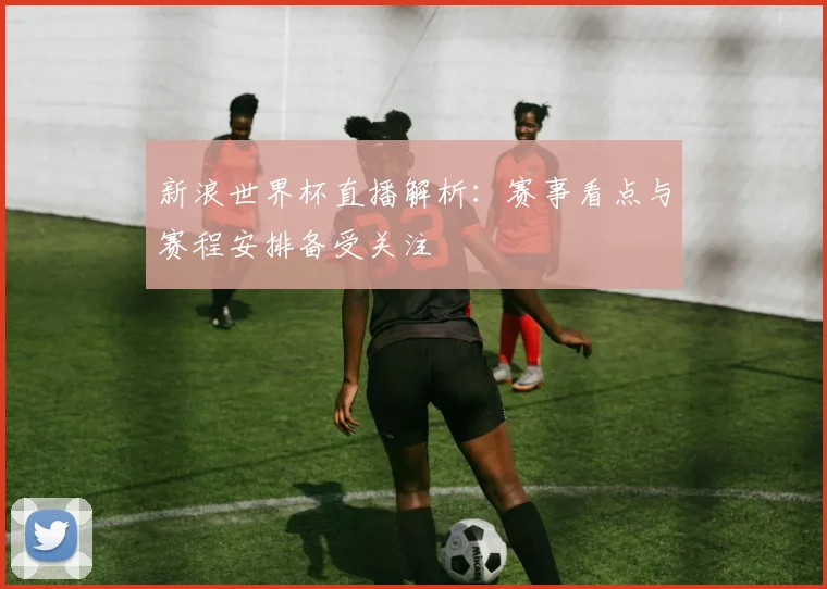 新浪世界杯直播解析：赛事看点与赛程安排备受关注