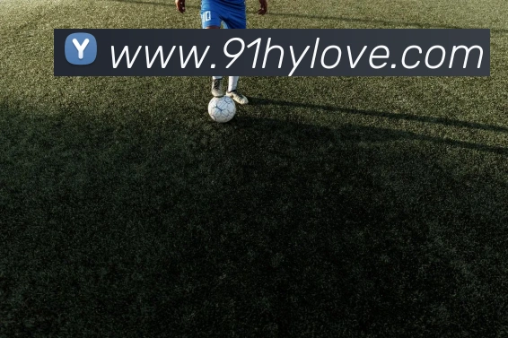 在线买世界杯平台APP 封面图